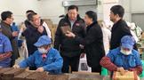 川茶集團產(chǎn)品與資訊全解析 價格、評測、新聞及合作渠道
